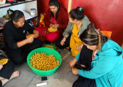 Crea Nepal